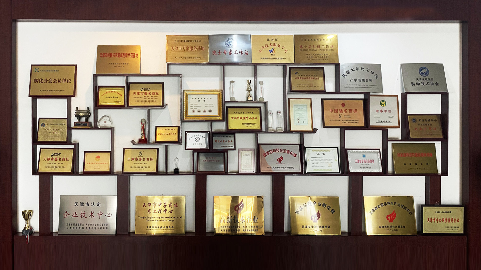 讓生機(jī)人成功快樂(lè)、讓生機(jī)集團(tuán)走向卓越是生機(jī)的使命